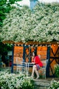 HANOI, VIETNAM - October 25, 2020: A Vietnamese flower house is a white chrysanthemum flower in the garden.
